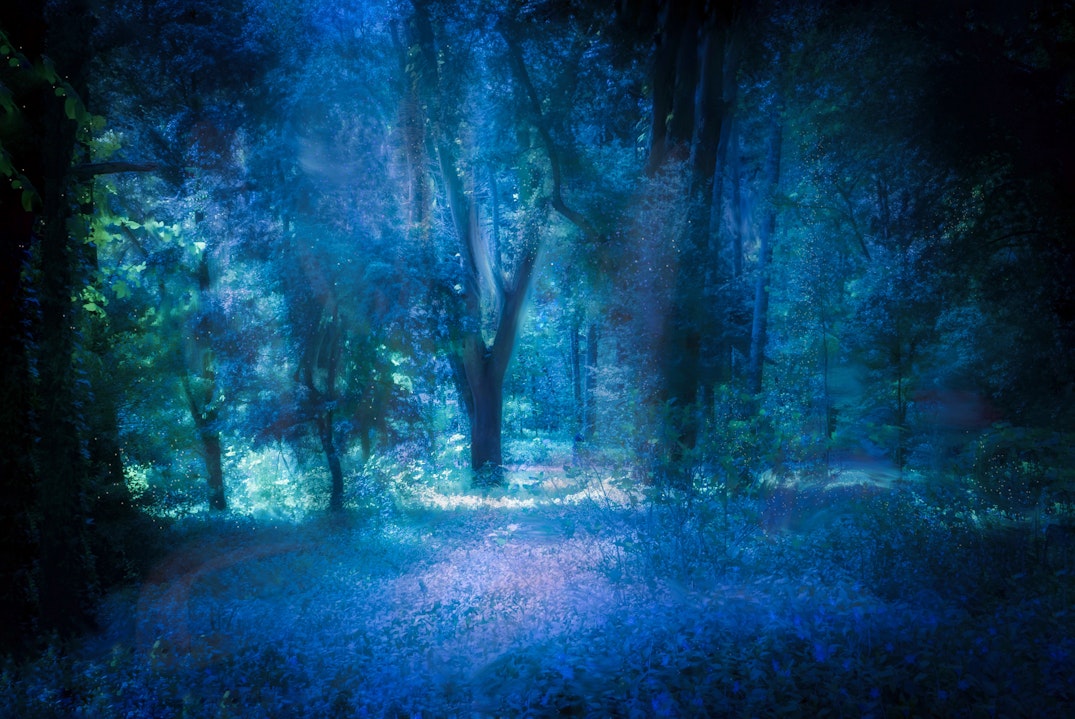 Featured Artwork