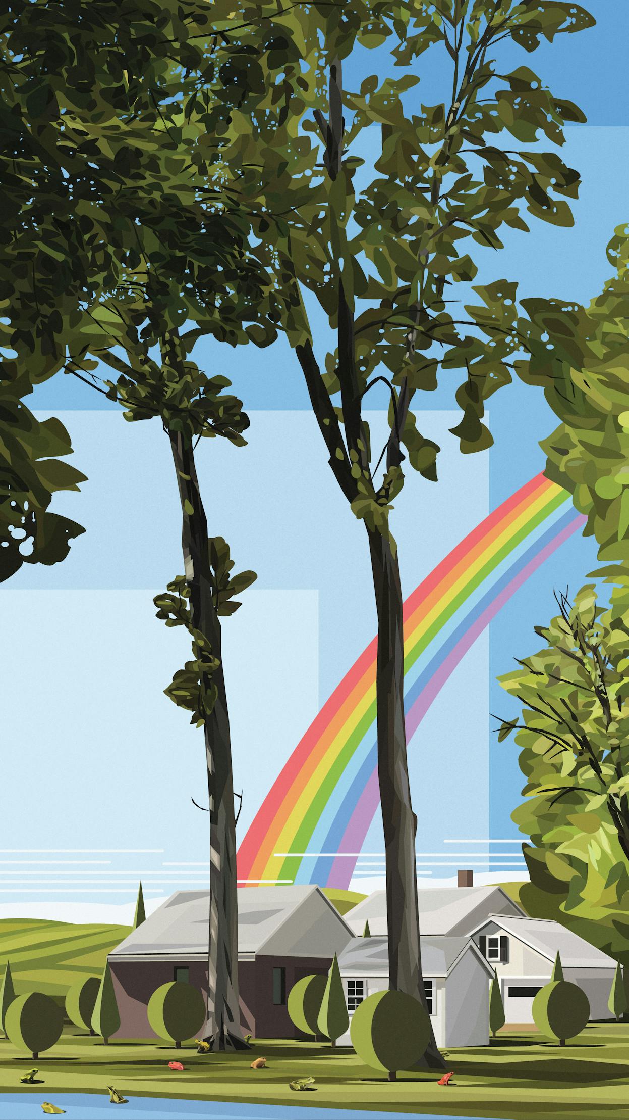 Frogs & Rainbows